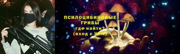 прущие грибы Алексин